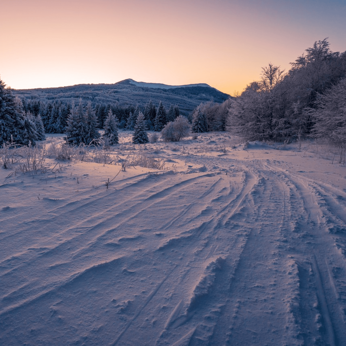 Sneeuwsokken 