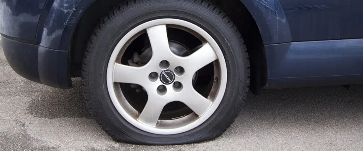 img_tubules__1_1200x500