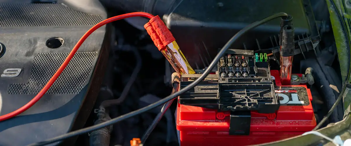 pexels-vladimirsrajber-32282232-scaled_1200x500