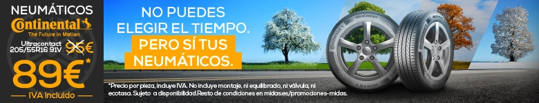 neumaticos continental ochenta y nueve euros consulta tu precio