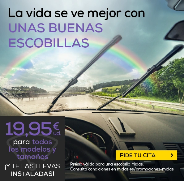 diecinueve con noventa y cinco euros cada escobillas pide tu cita y llevatelas instaladas