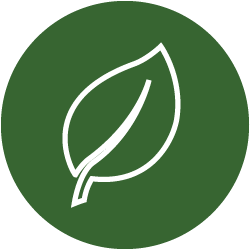 iconos-motorcare-250x250_hoja