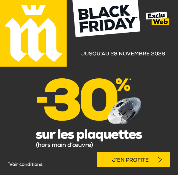 midasfr_bann_plaquettes30_bf_nov26_595x585