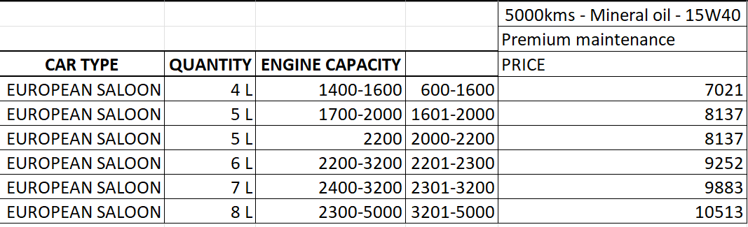 prem-service-euro-saloon