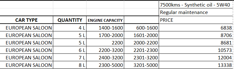 reg-service-euro-salon-synthetic
