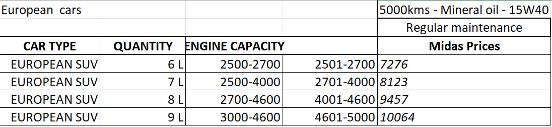reg-service-euro-suv-mineral