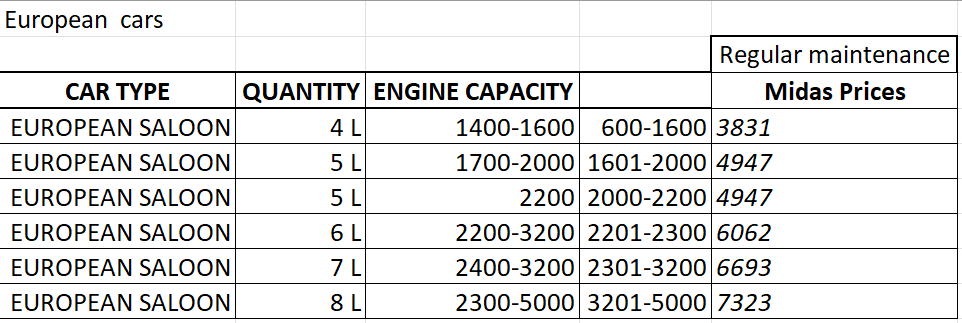 reg-service-saloon-euro-mineral