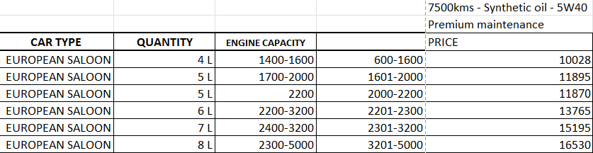 service-prem-euro-salon-synthetic