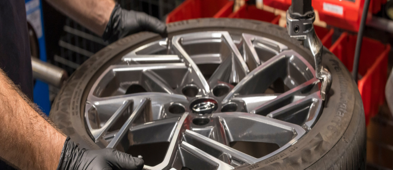 imagem-2_________________