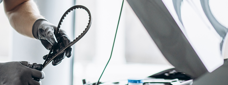 marcacao_correia_distribuicao